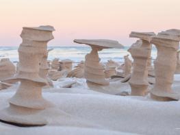 강한 바다바람이 만든 예술적인 모래기둥  기사 이미지