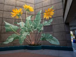 야생화 벽화가 도시의 척박한 환경을 바꾸다 - Mona Caron  기사 이미지
